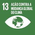 ODS 13