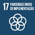 ODS 17