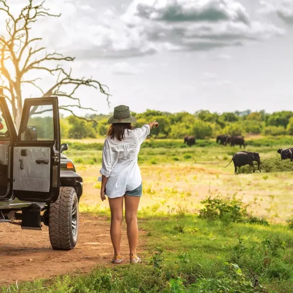 africa_vcz_02