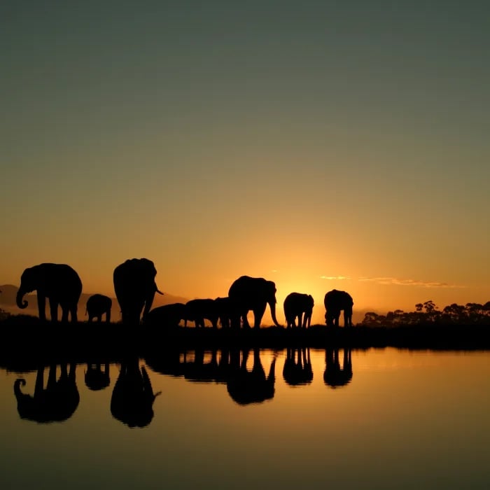África do Sul