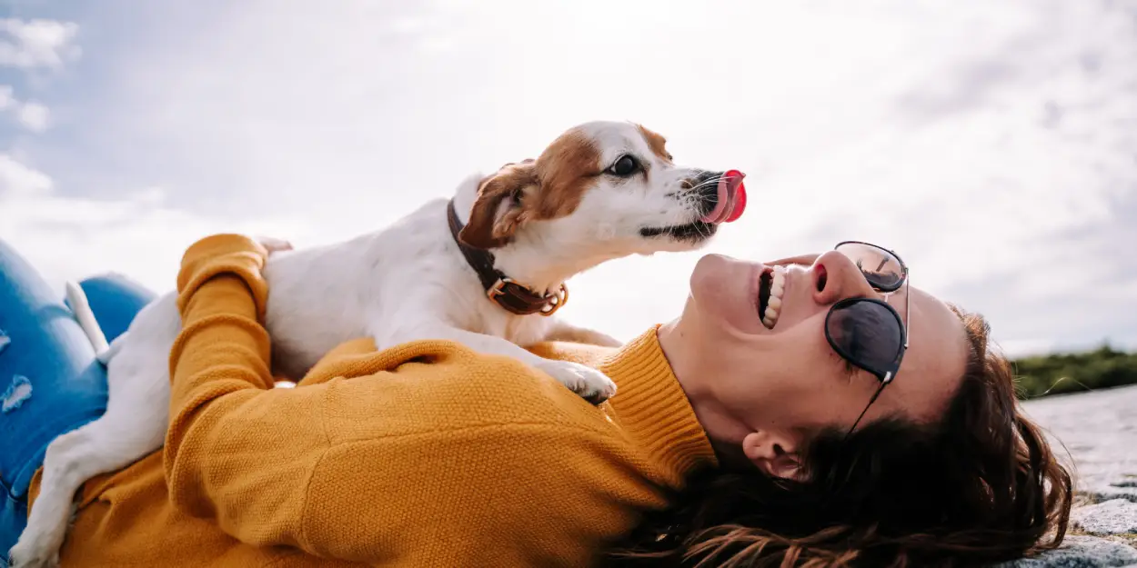 10 cuidados básicos si tienes un perro