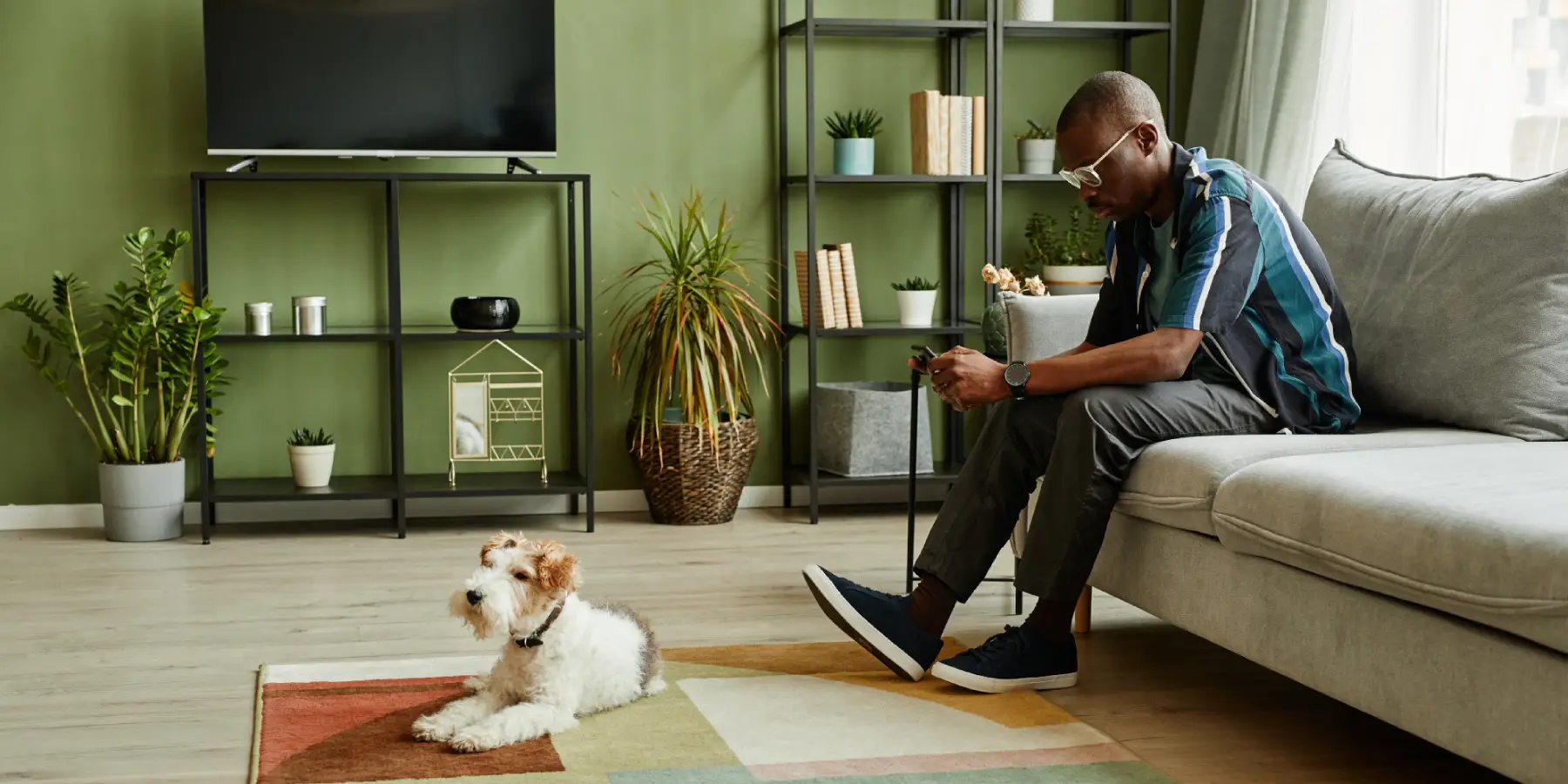 Guía para arrendar tu vivienda a personas con mascotas