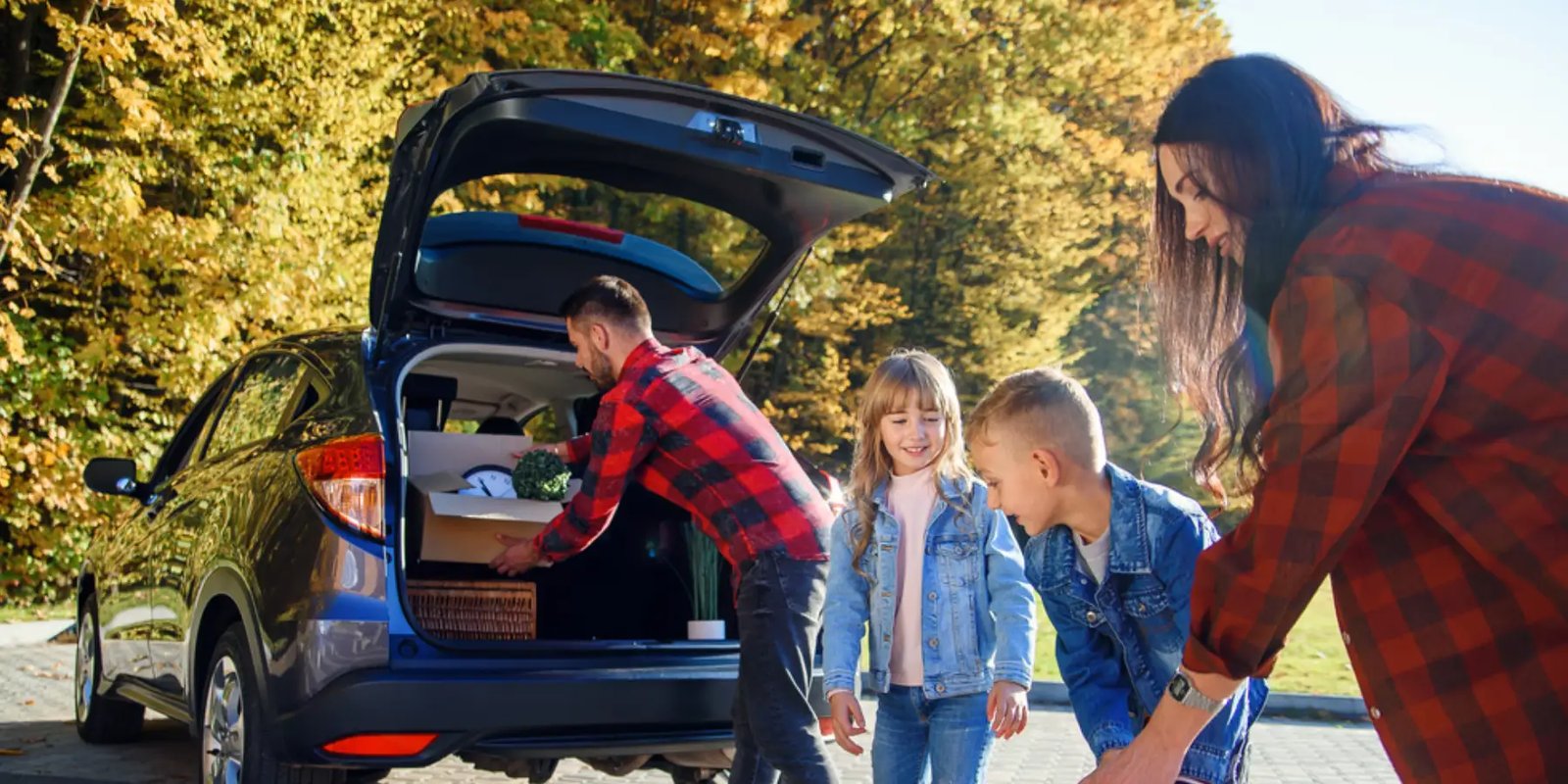 foto tips seguro vehiculo