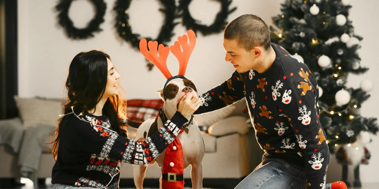 Cómo cuidar a tu mascota