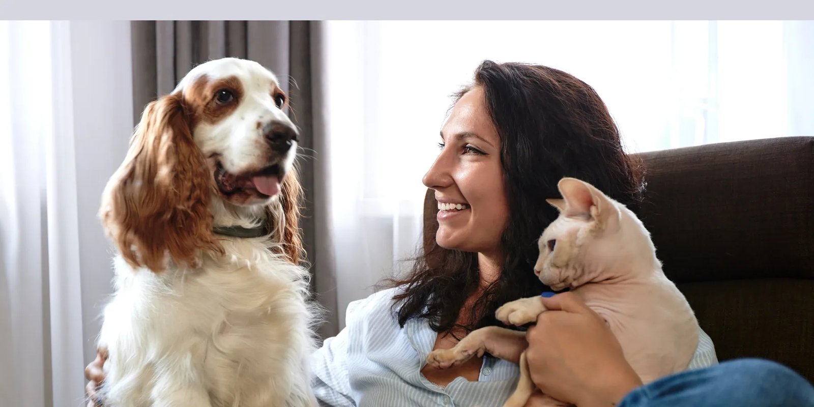 Cómo cuidar a tu perro o gato