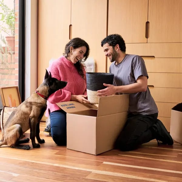 Hogar ideal