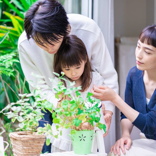 Parents accompany daughter to take care of plants