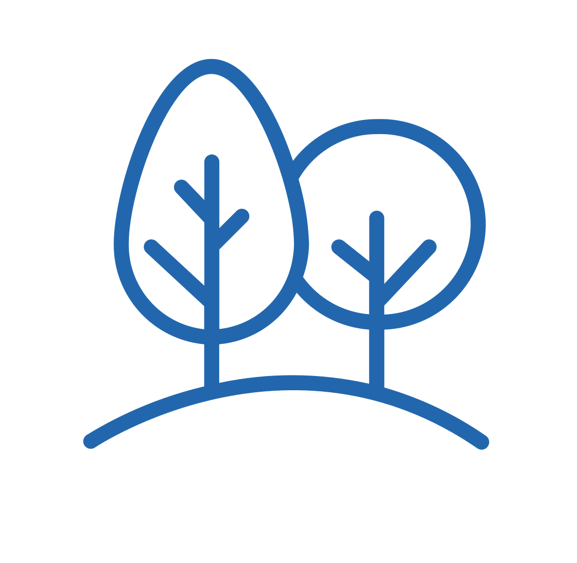 Forest Blue Outline
