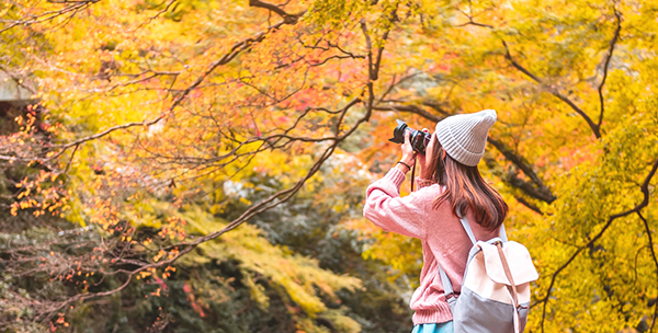 A girl is taking the photo of maple