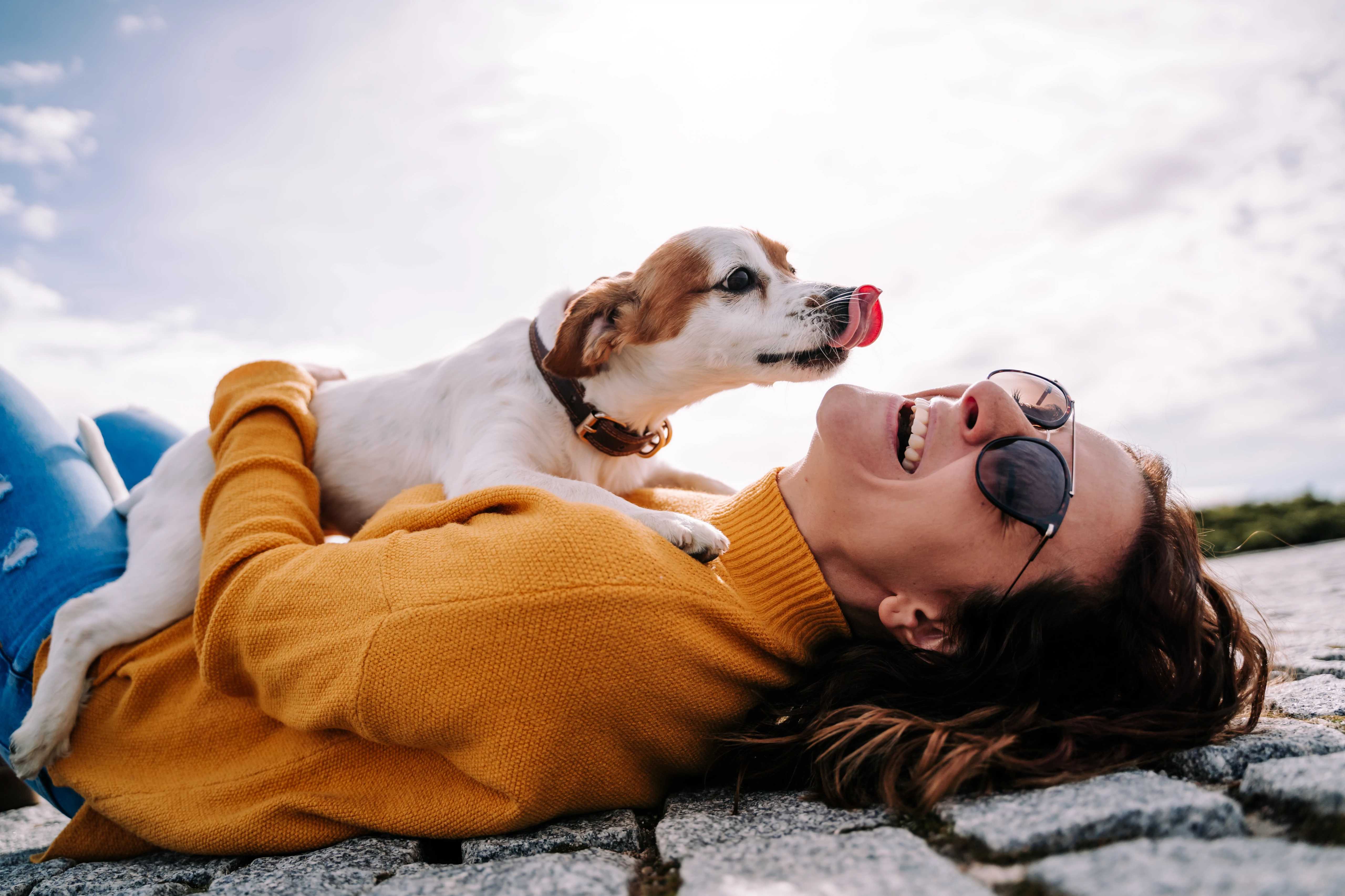 Woman wearing sunglasses hugging a dog on the ground