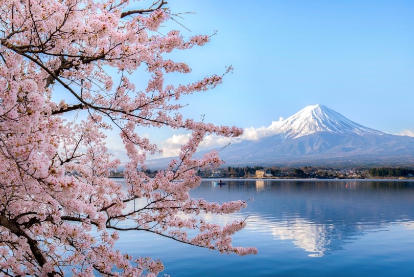japan travel insurance