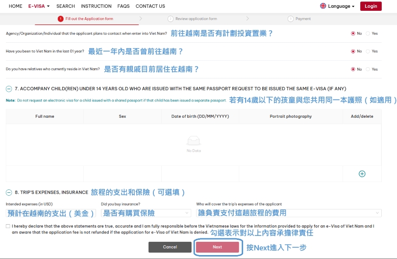 e-visa other information