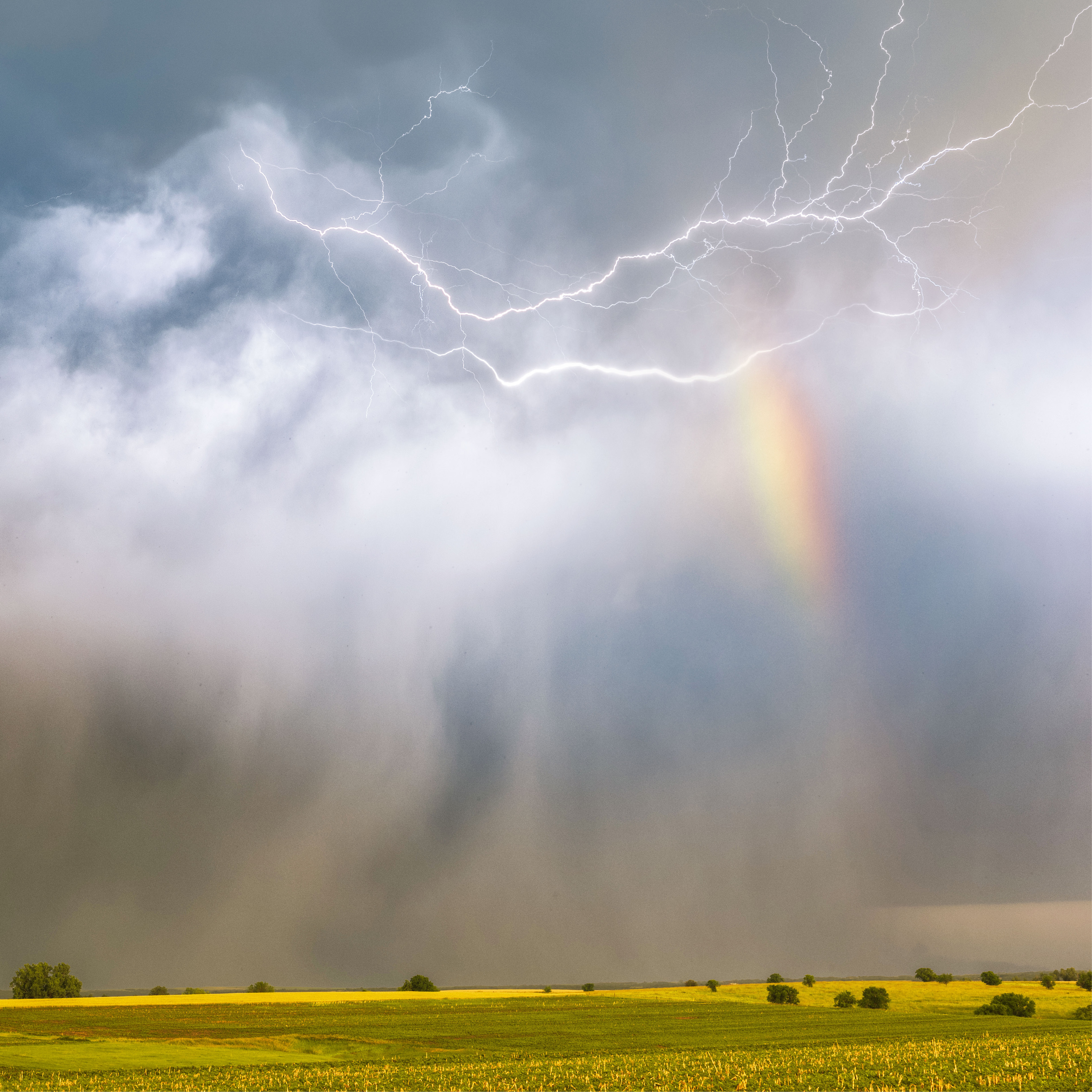 Protezione Calamità Naturali