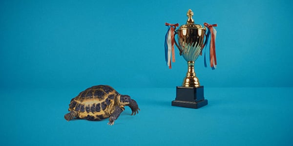 Investi nel tuo domani