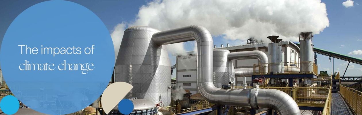 image_knowledge hub_the impacts of climate change