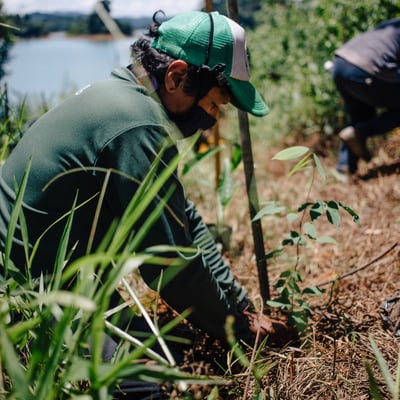 image_article_2022_Zurich Cares_a_conversation_with_dr_dzaeman_planting_tree