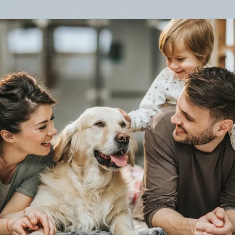Descubre la oferta de valor que Zurich tiene