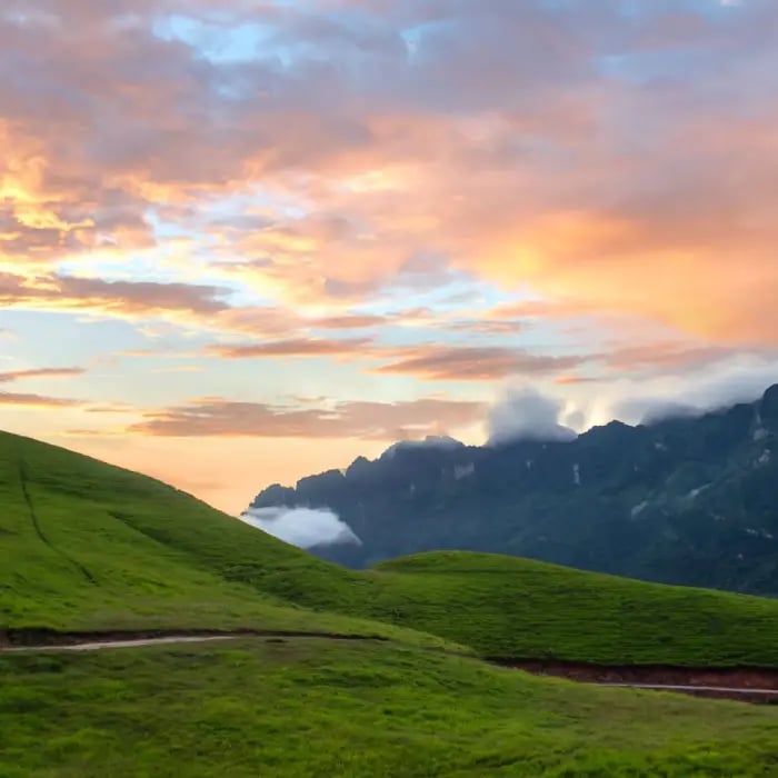 Nuestro enfoque sustentable Zurich México
