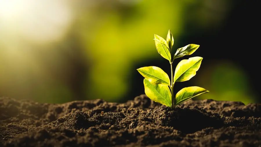 Soluciones de Resiliencia Climática
