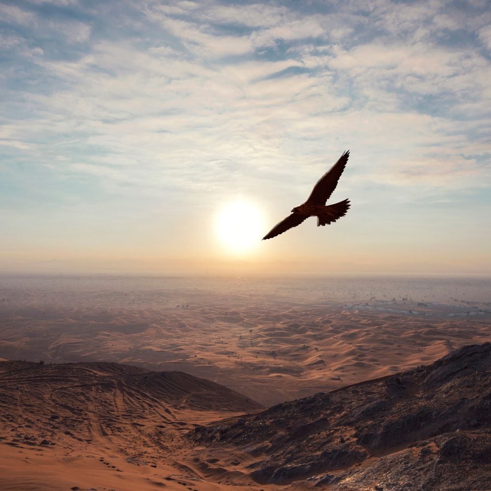 Middle east commercial banner
