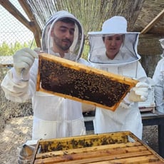 UAE Bees Association