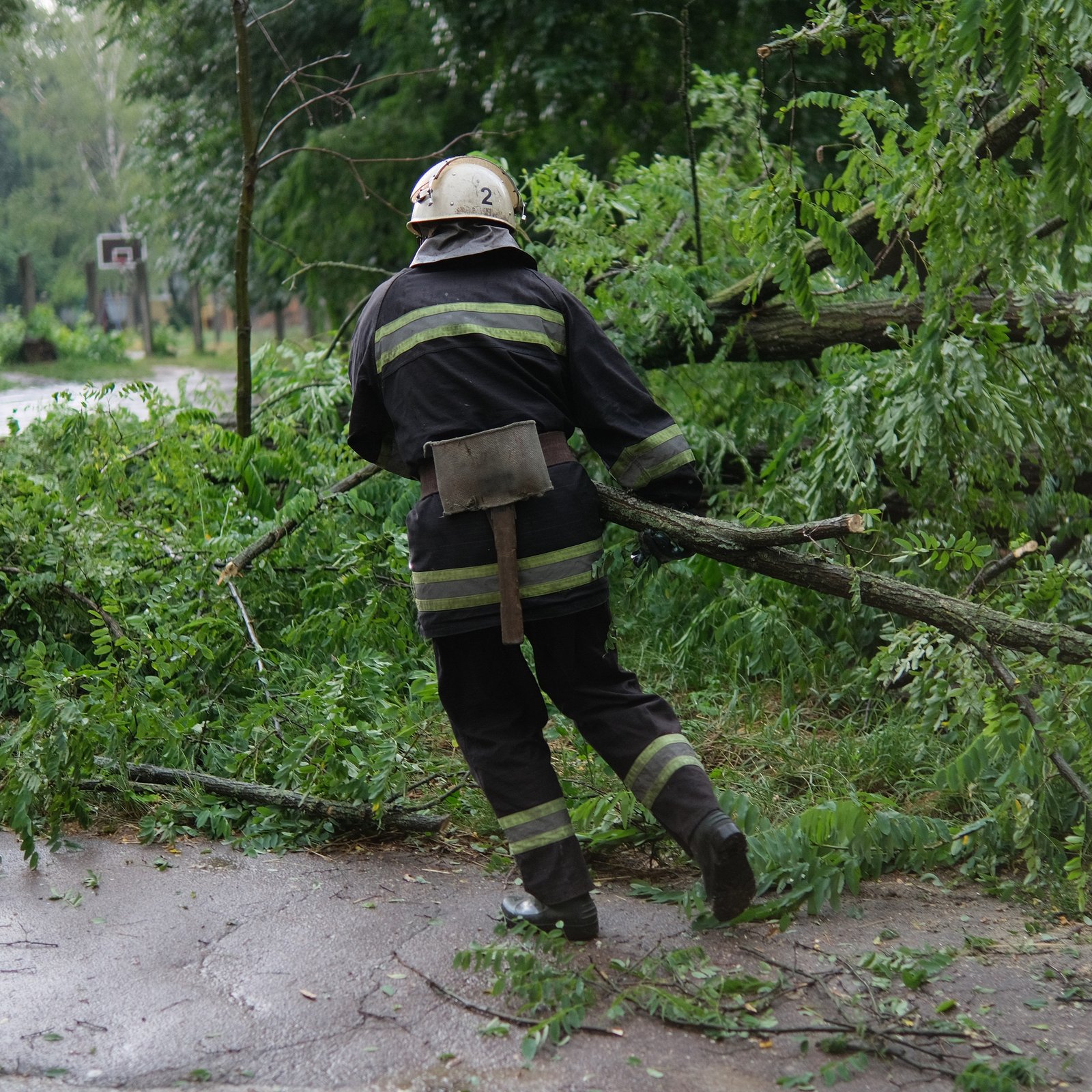 Bombeiro a remover árvores caídas