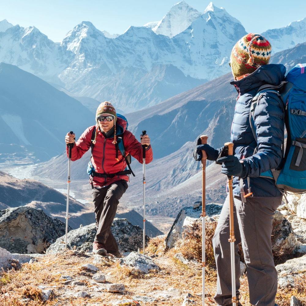 stage-unit-linked-ppr-everest