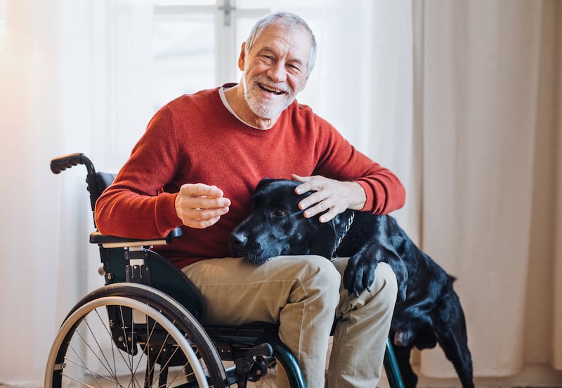 Senhor numa cadeira de rodas com cão