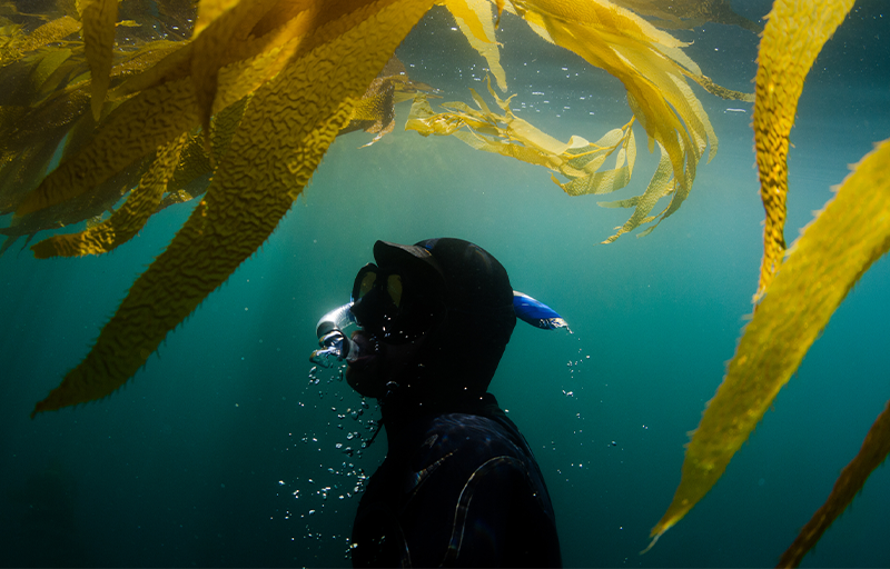 ProtegerOceanos_Zurich_MundoZ3