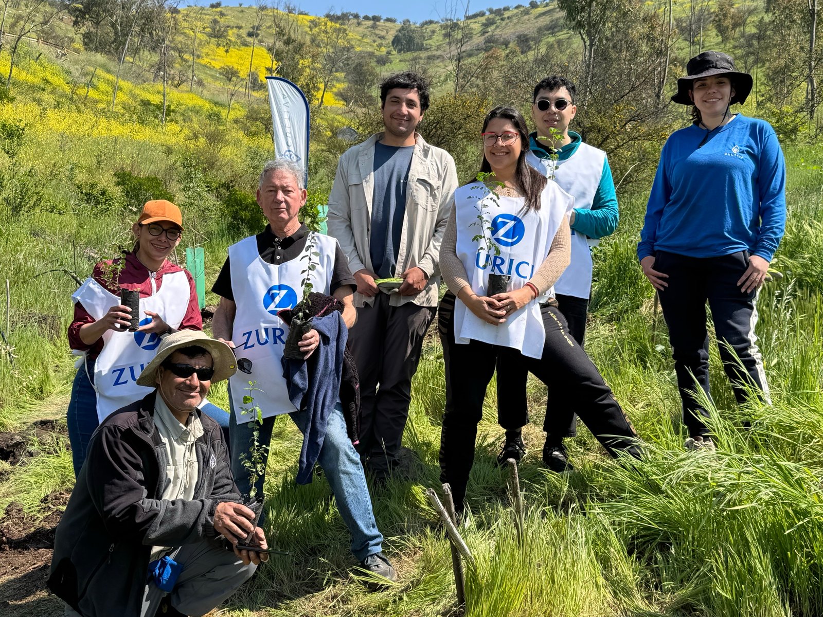 Zurich employees volunteering
