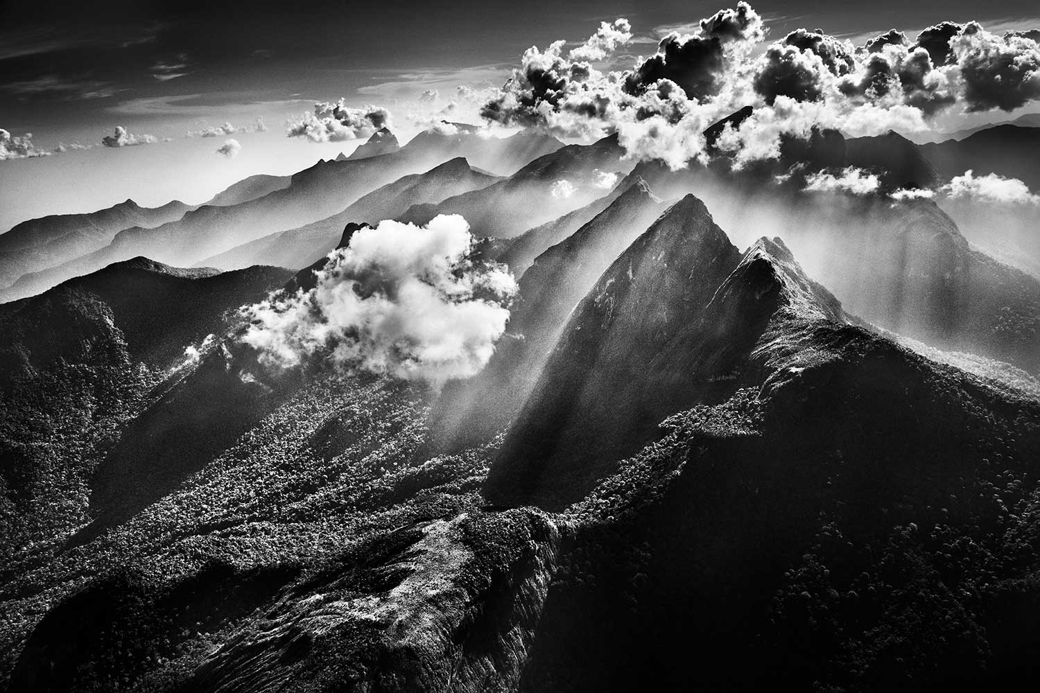 Amazonia exhibition landscape with mountains