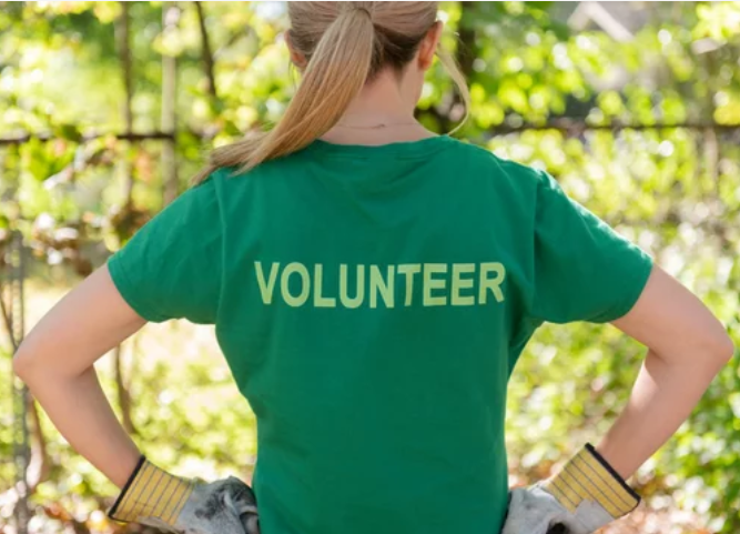 Image - DSC volunteering thumbnail