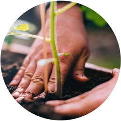 Sustainability page image