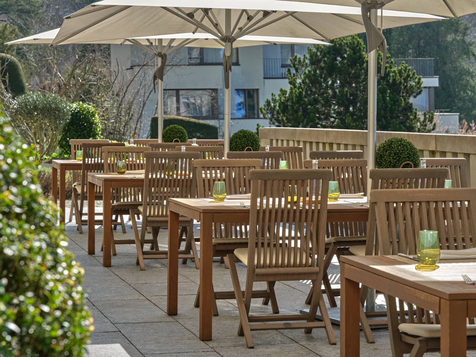 Terrace A - Summer