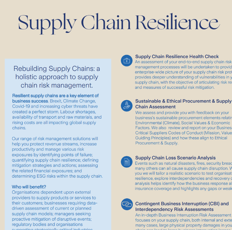 Supply Chain Resilience Factsheet preview