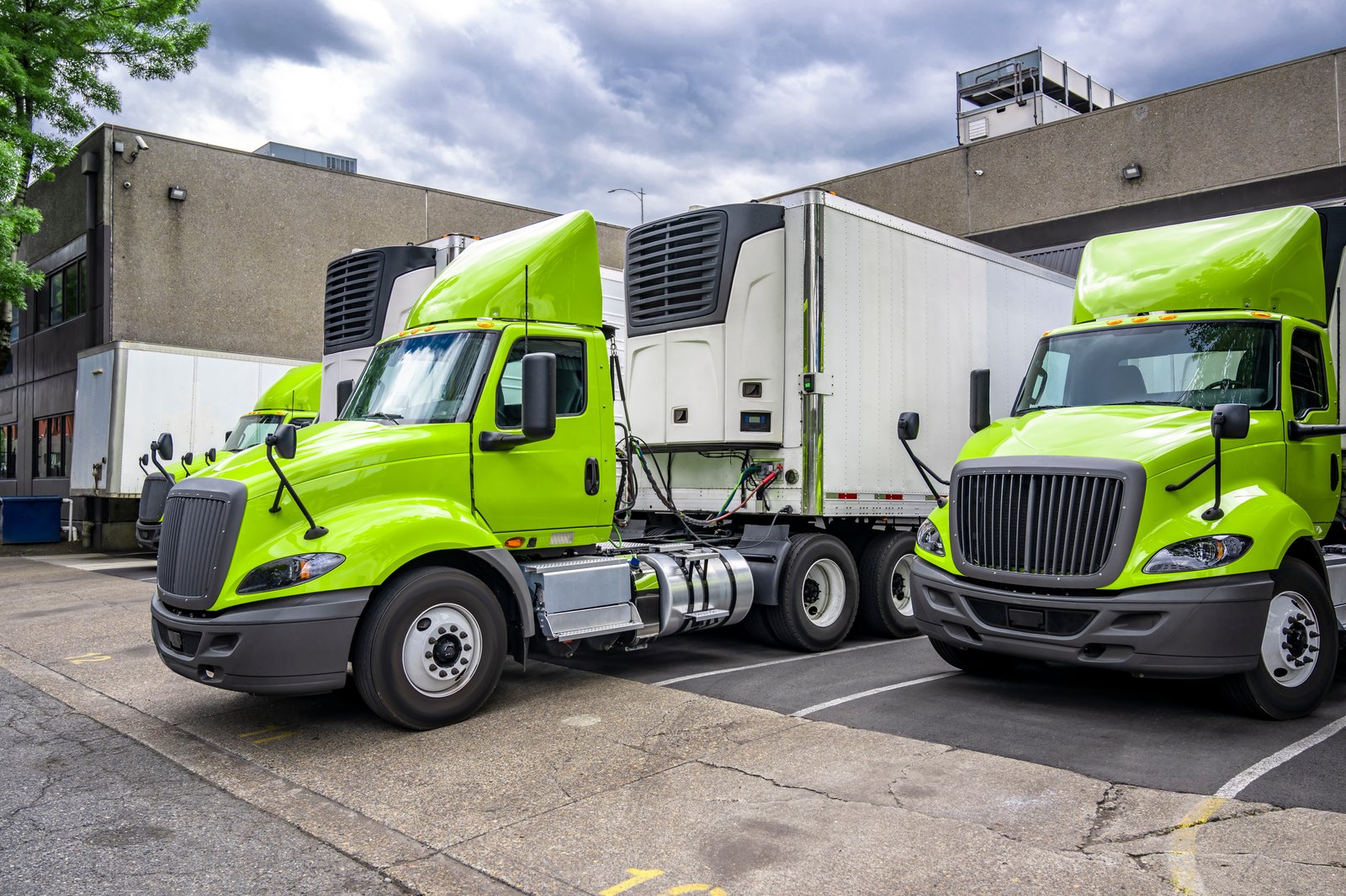 shutterstock_2476551447