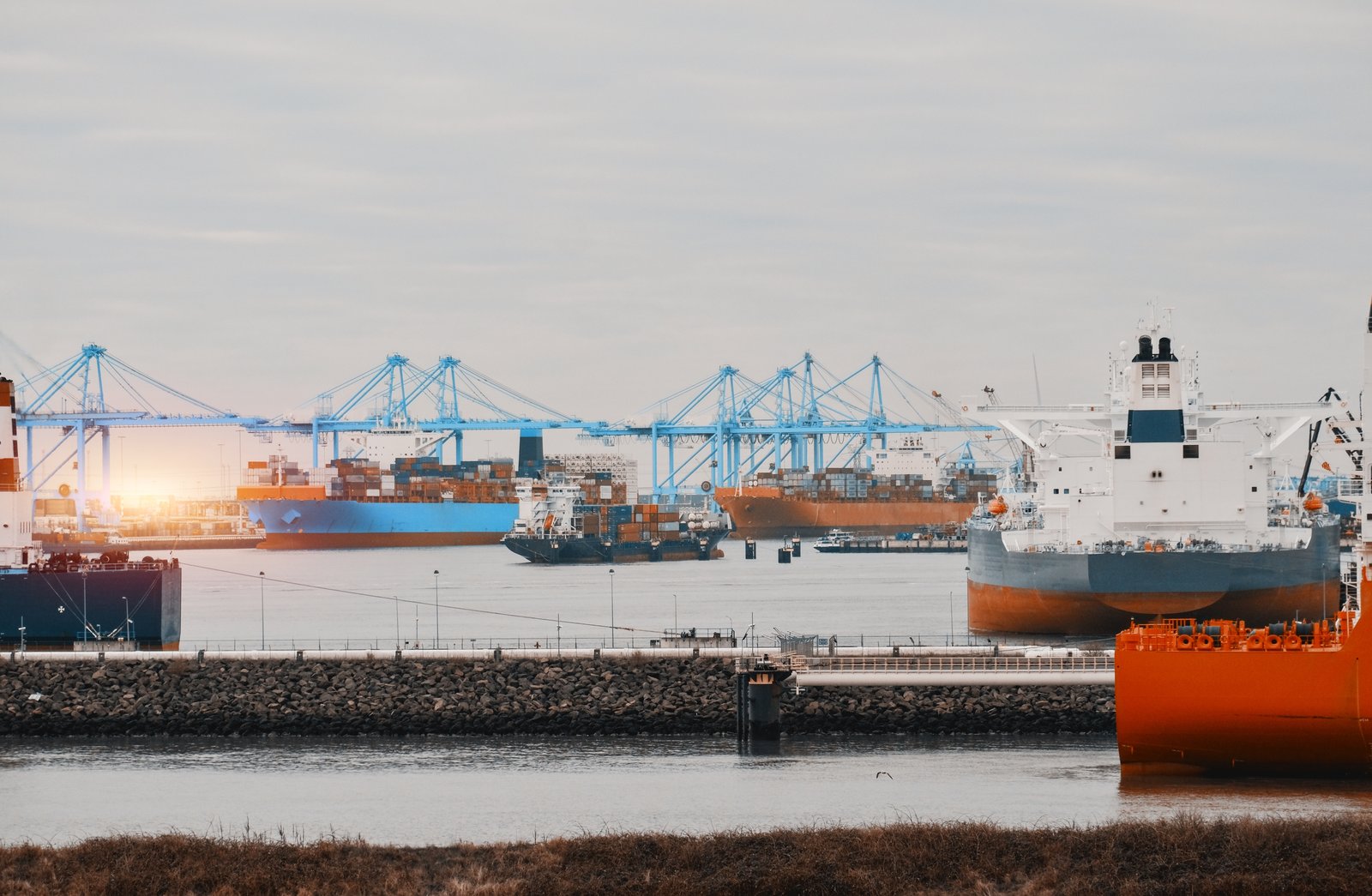 shutterstock_2427787679