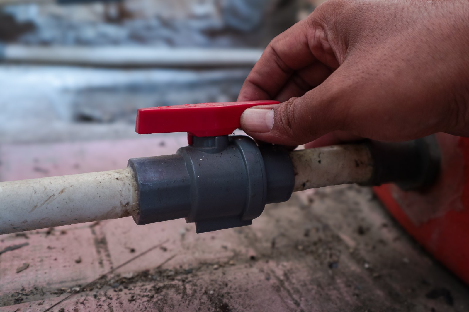 shutterstock_2658829025