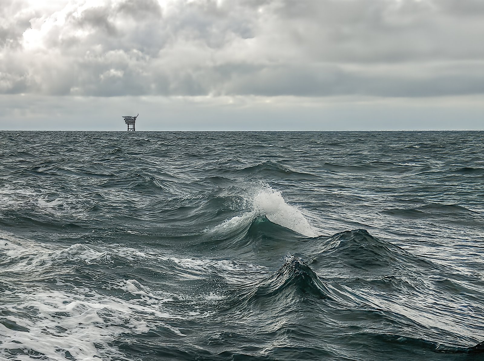 shutterstock_2693591387