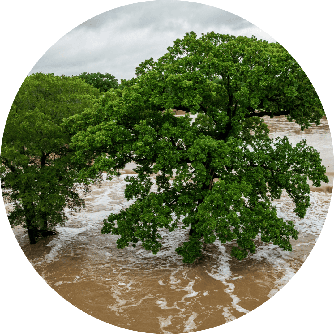 flood