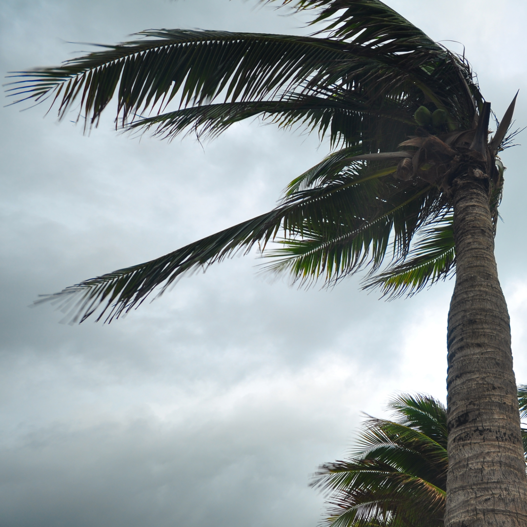 hurricane