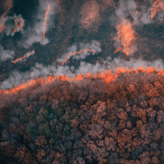 Fire on land 1X1