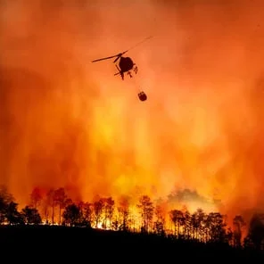 wildfire