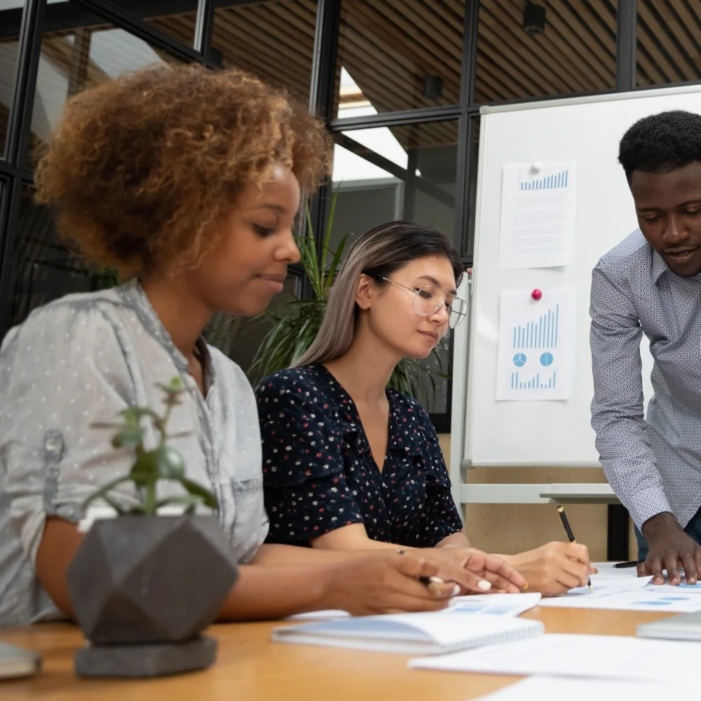Workplace diversity equity and inclusion service