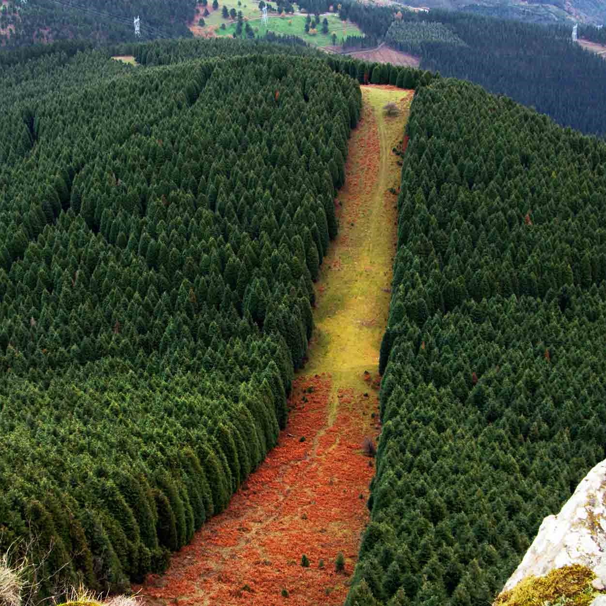 Trail along mountains 