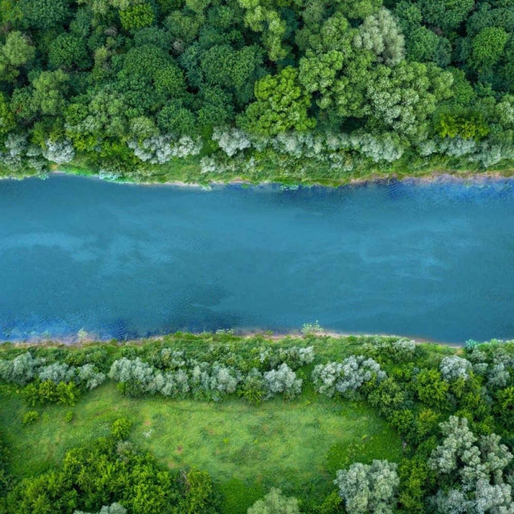 River running through forest 