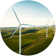 Wind turbines generating renewable energy