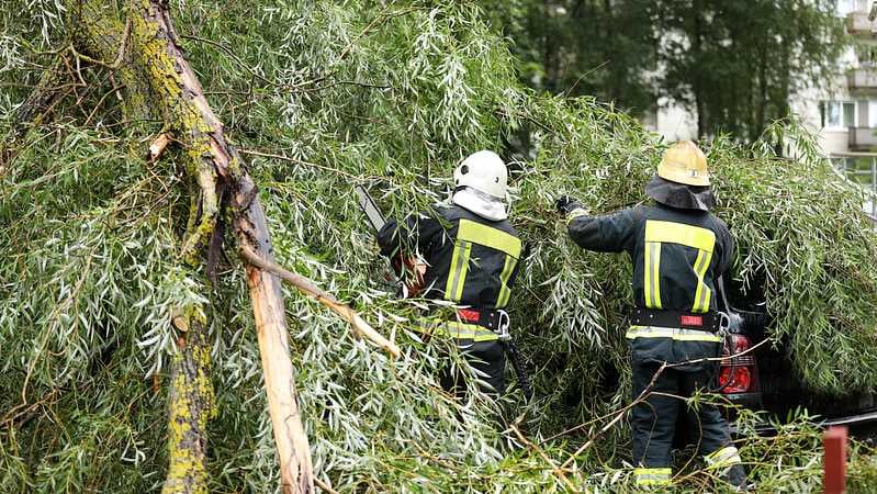 Feuerwehrleute befreien eine Straße von umgestürzten Bäumen.