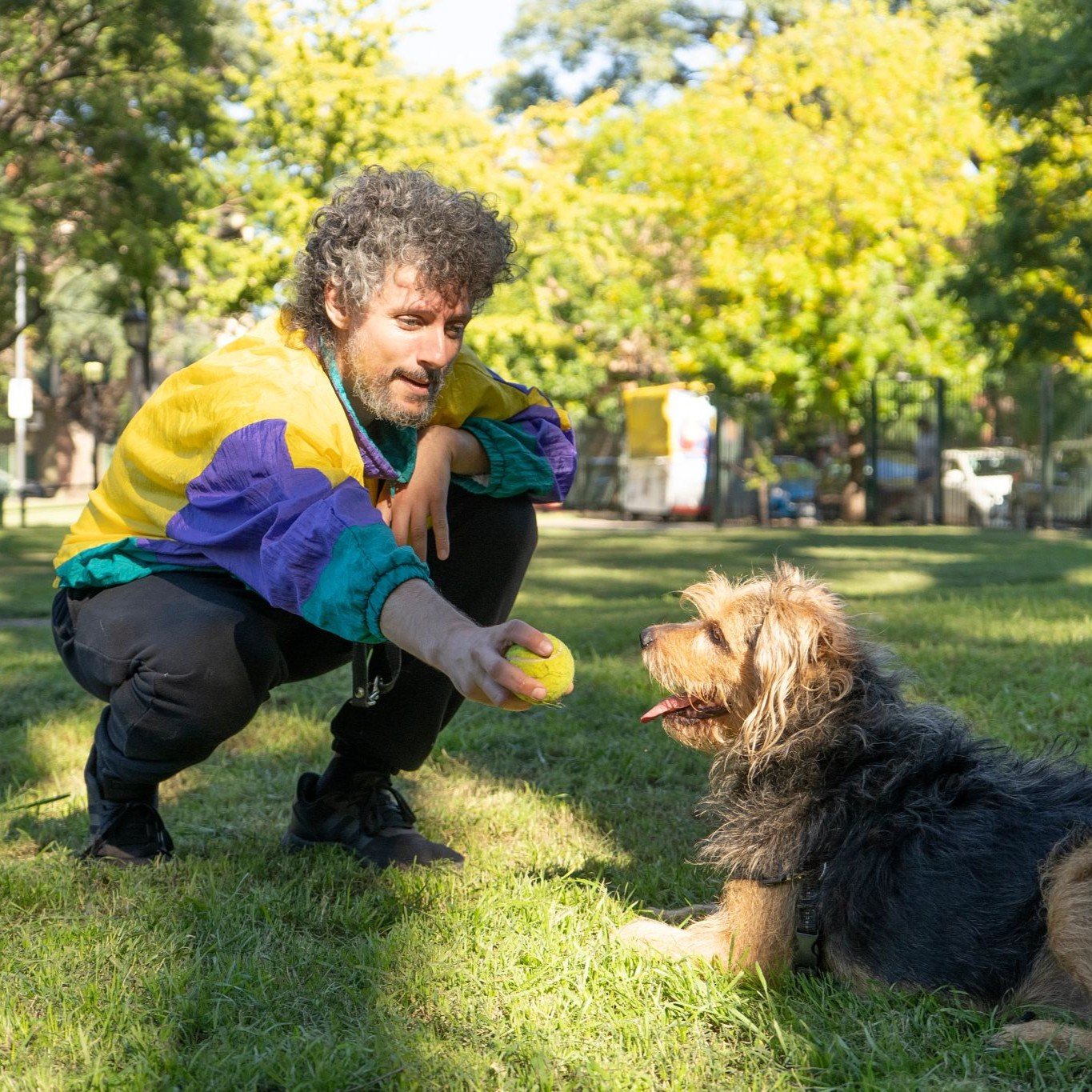 Ein Mann gibt einem Hund einen Tennisball zum Spielen | Zurich Hundehaftpflichtversicherung