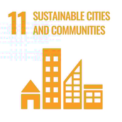 SDG 11